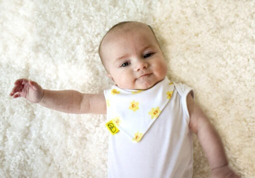 Organic cotton Welsh baby dribble bib with yellow daffodil print