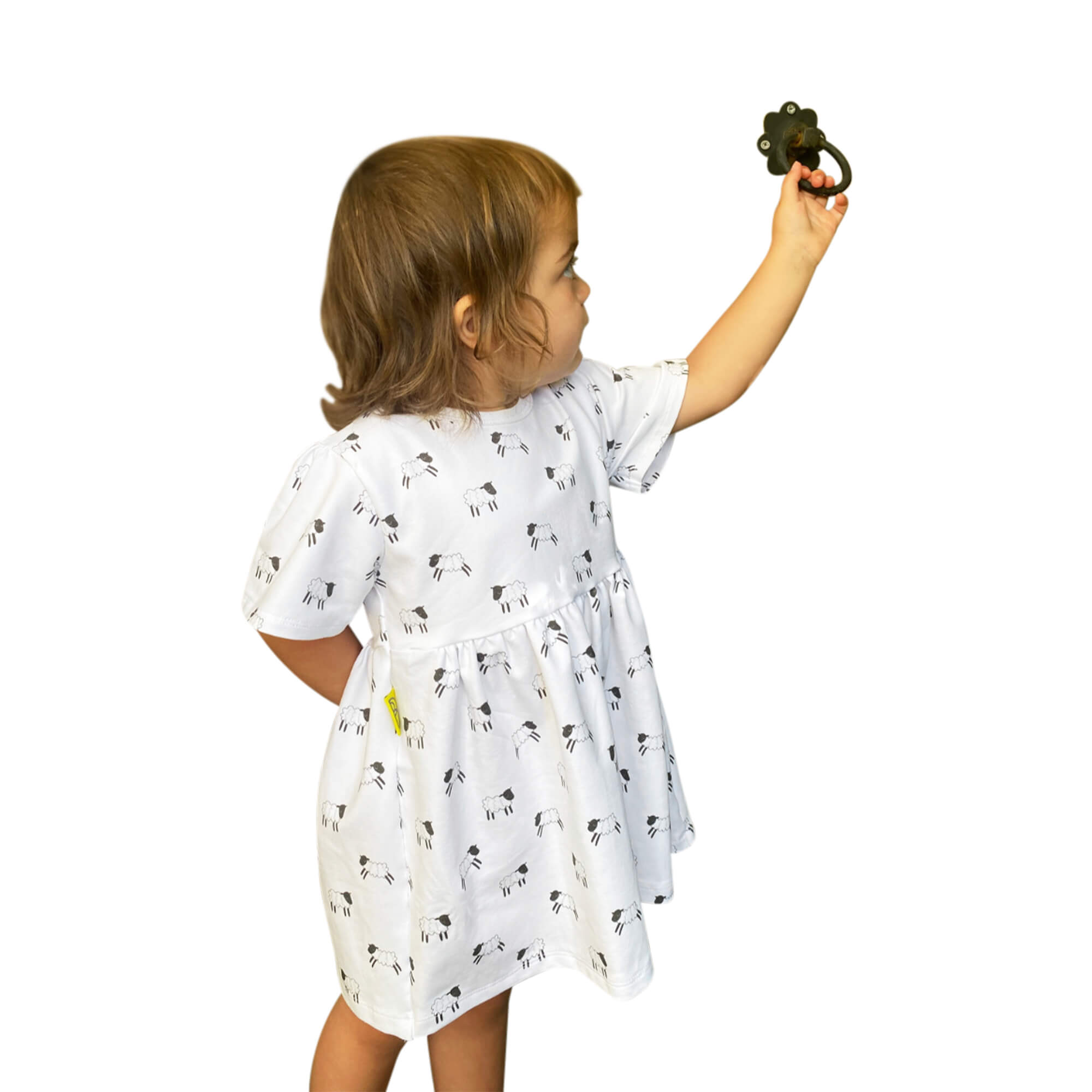 Handmade short sleeve white organic cotton Baby girl dress with cute Welsh sheep print with two fasteners to adjust back